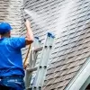 Arlington roof washing service